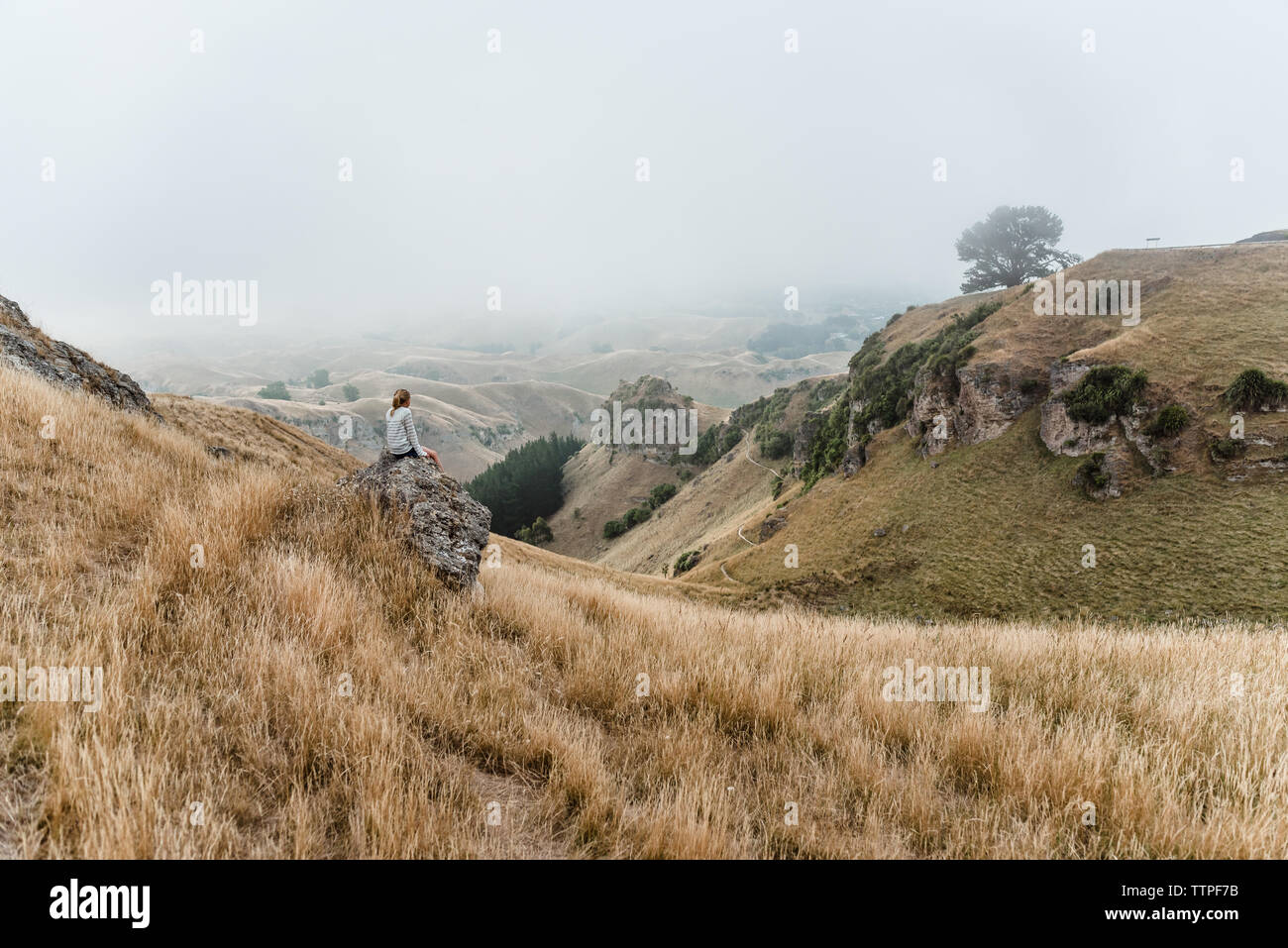 Ragazza seduta sulla roccia sul fianco di una collina a Te Mata Peak Foto Stock