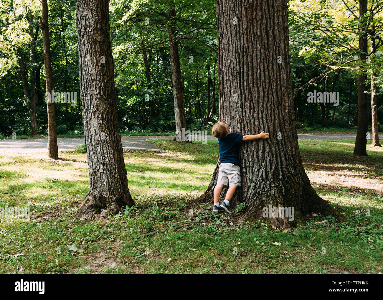 Ragazzo abbracciando tree mentre si sta in piedi sul campo erboso in foresta Foto Stock
