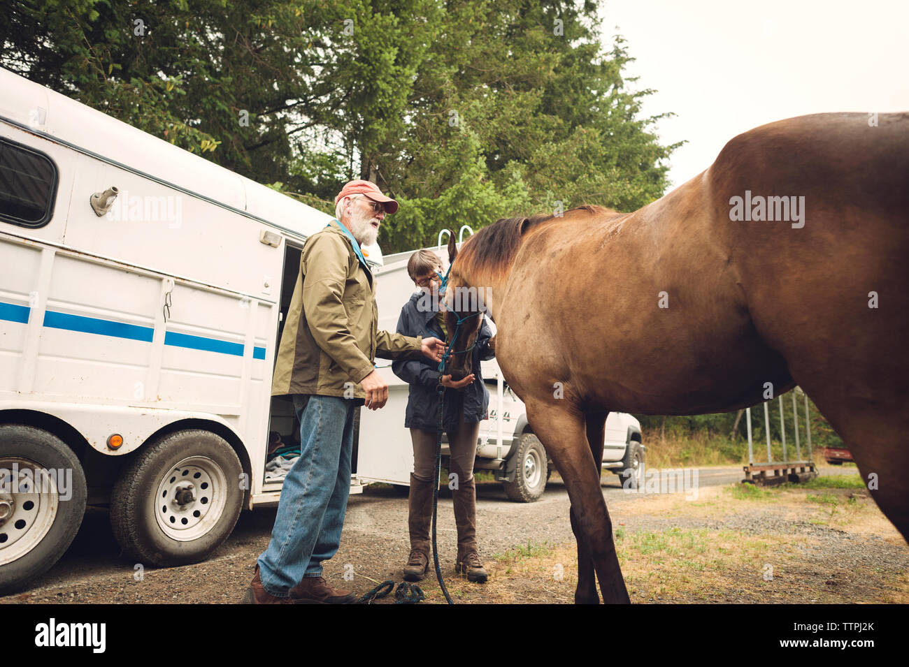 Medico Donna cavallo di esame permanente, mentre con l'uomo in fattoria Foto Stock