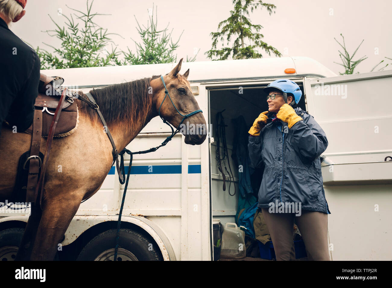 Medico donna che indossa il casco mentre in piedi con cavallo contro ambulanza Foto Stock
