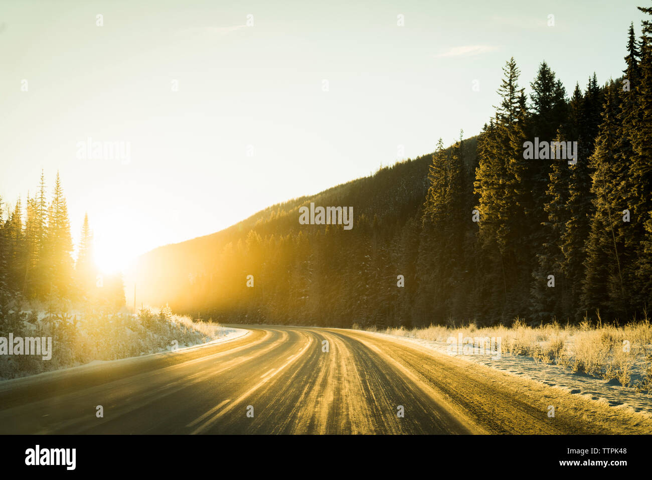 Vista panoramica della strada in mezzo di alberi in foresta in inverno durante il sunrise Foto Stock