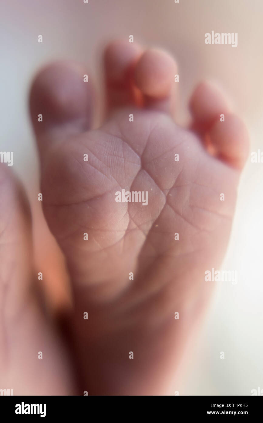Close-up di baby boy il piede a casa Foto Stock
