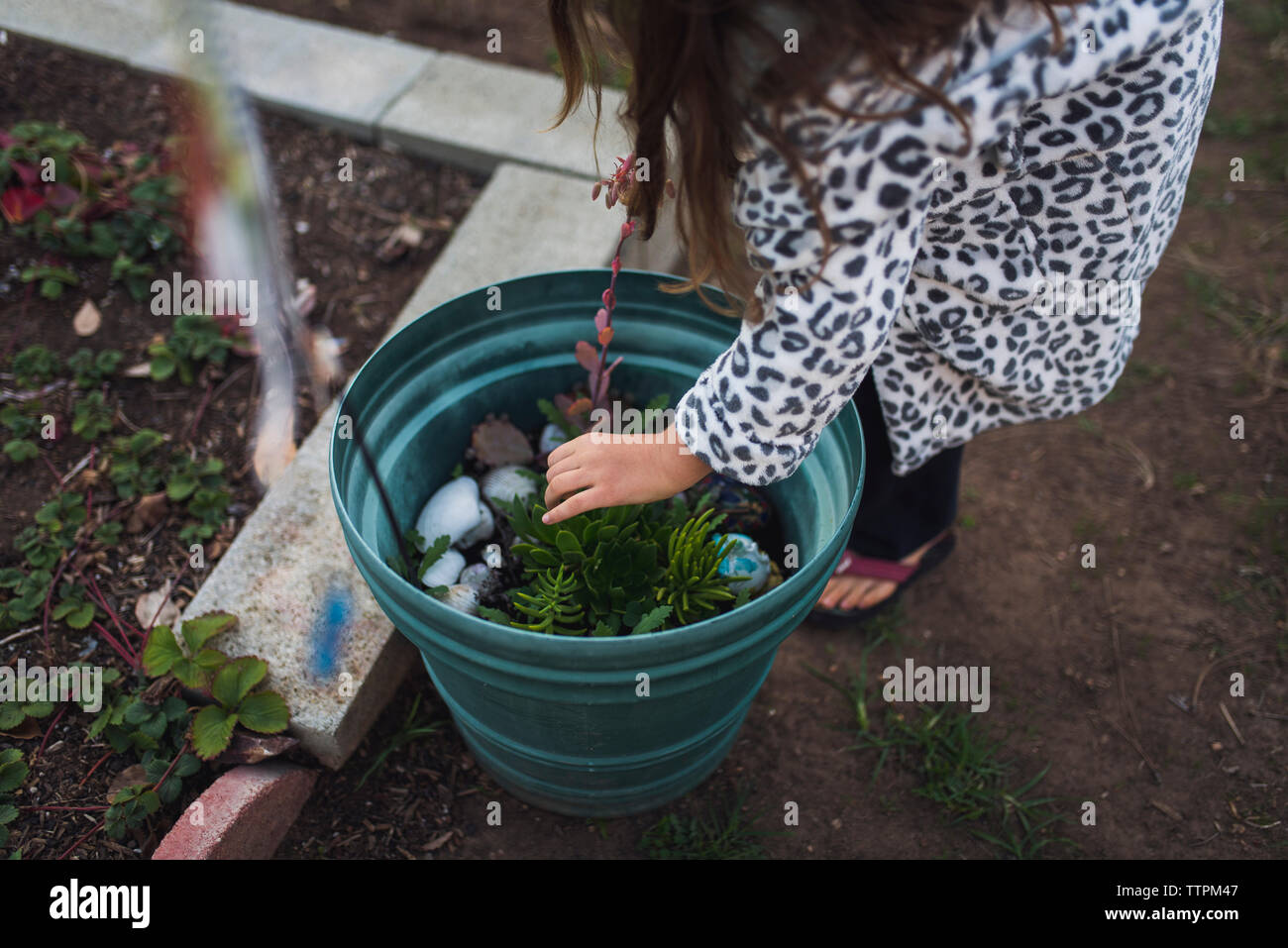 Sezione bassa della ragazza di toccare impianto in cantiere Foto Stock