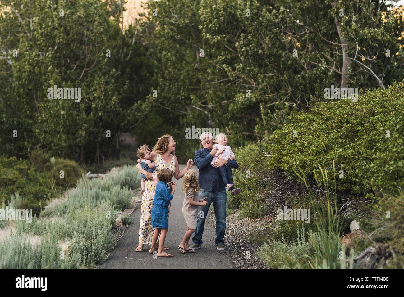 Genitori felici con le figlie in piedi sulla strada contro gli alberi nelle foreste Foto Stock
