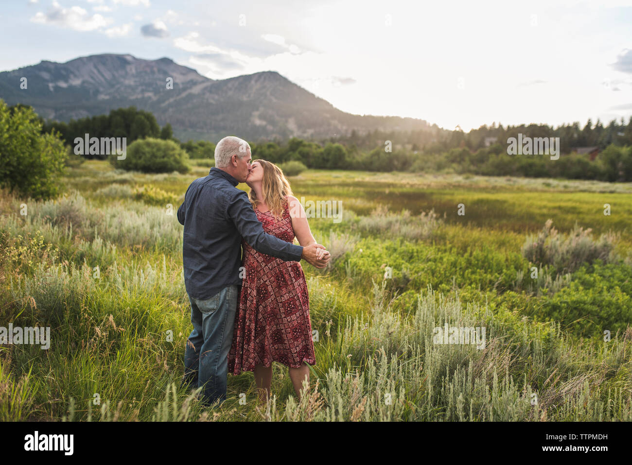 Coppia romantica tenendo le mani mentre si baciano sul campo erboso contro sky in foresta Foto Stock