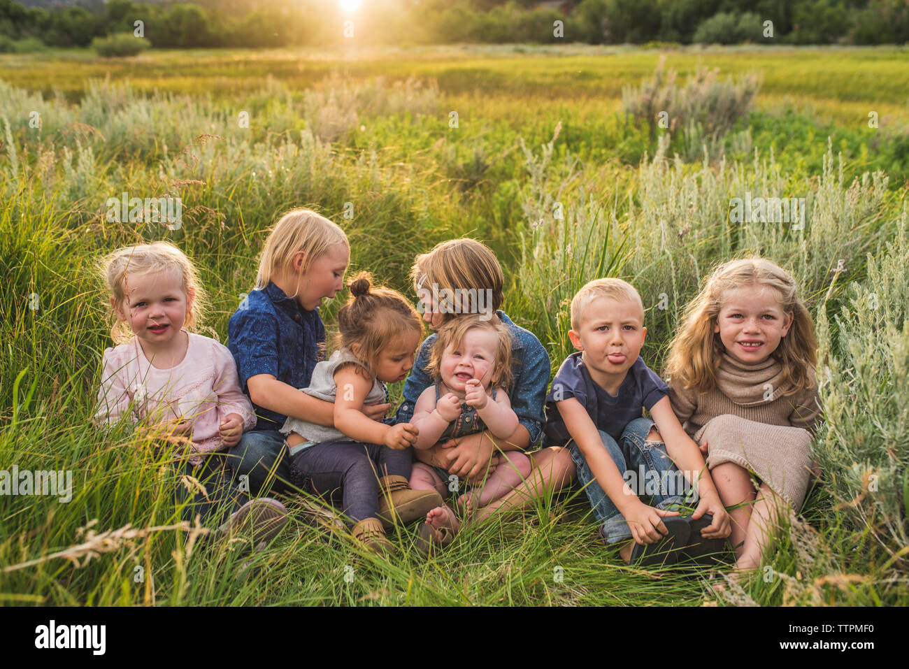 Simpatici amici seduti insieme sul campo dalle piante durante il tramonto Foto Stock
