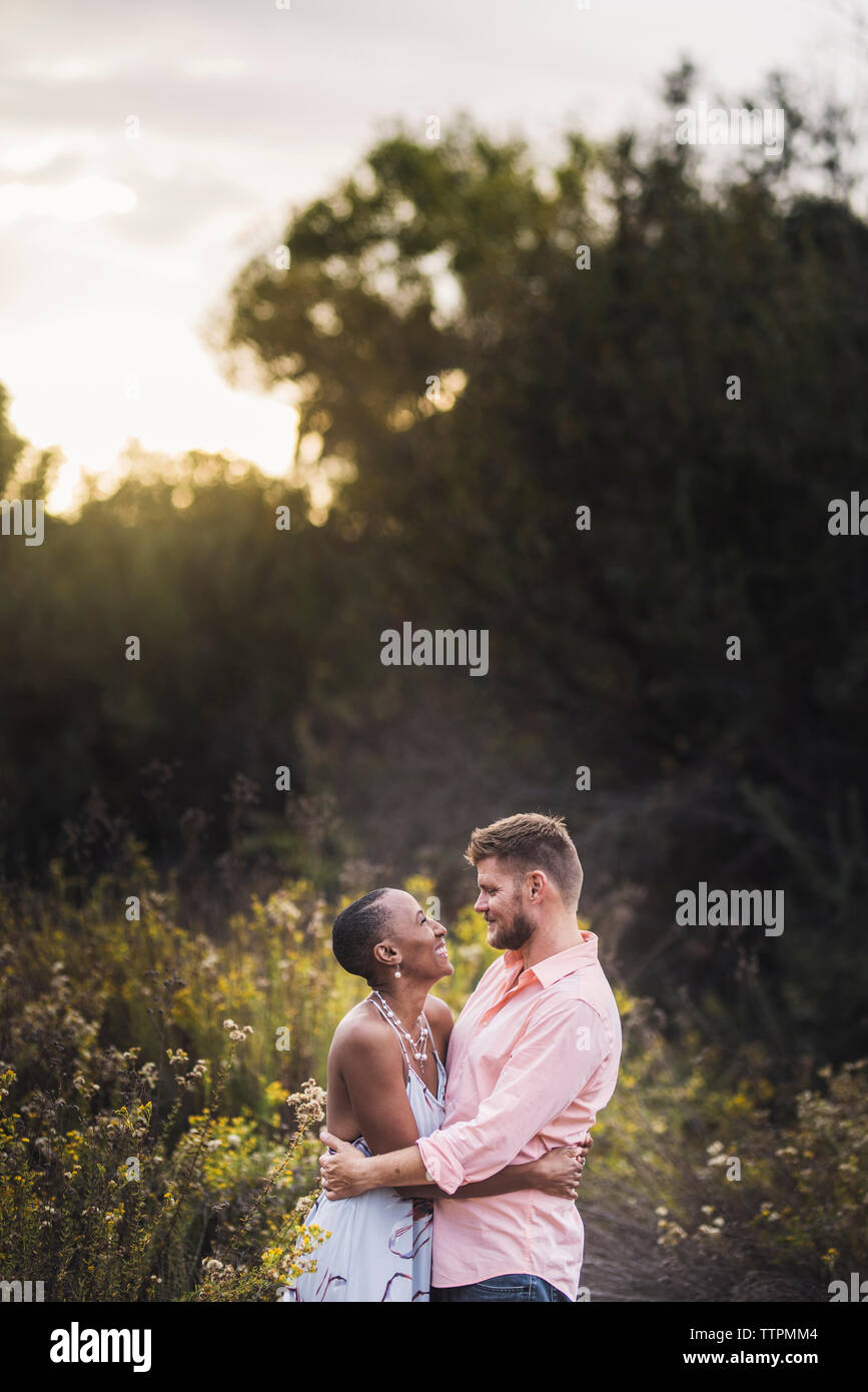 Vista laterale della coppia romantica guardando ogni altro stando in piedi in mezzo a piante contro sky nel parco durante il tramonto Foto Stock