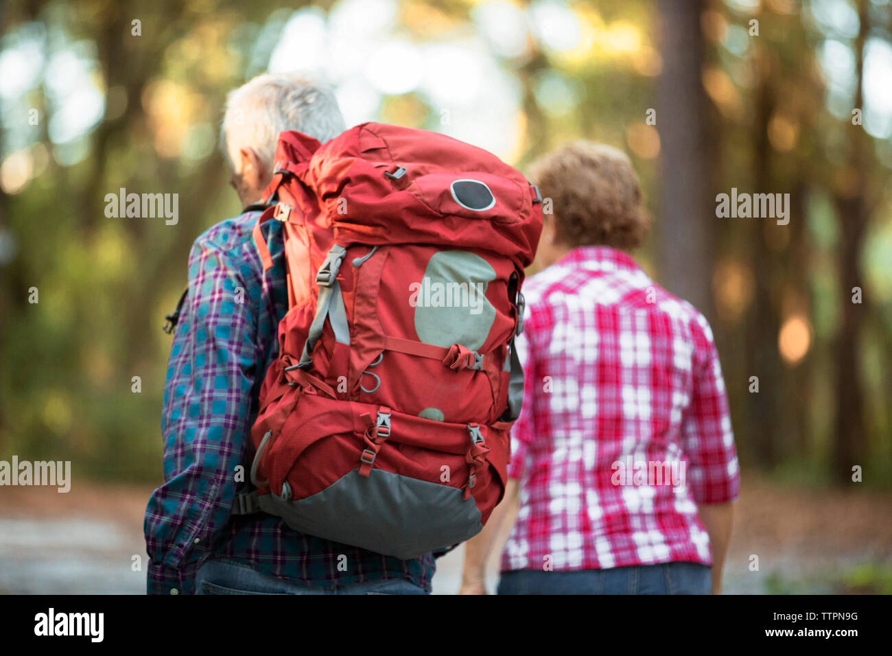 Vista posteriore della coppia senior escursionismo in foresta Foto Stock