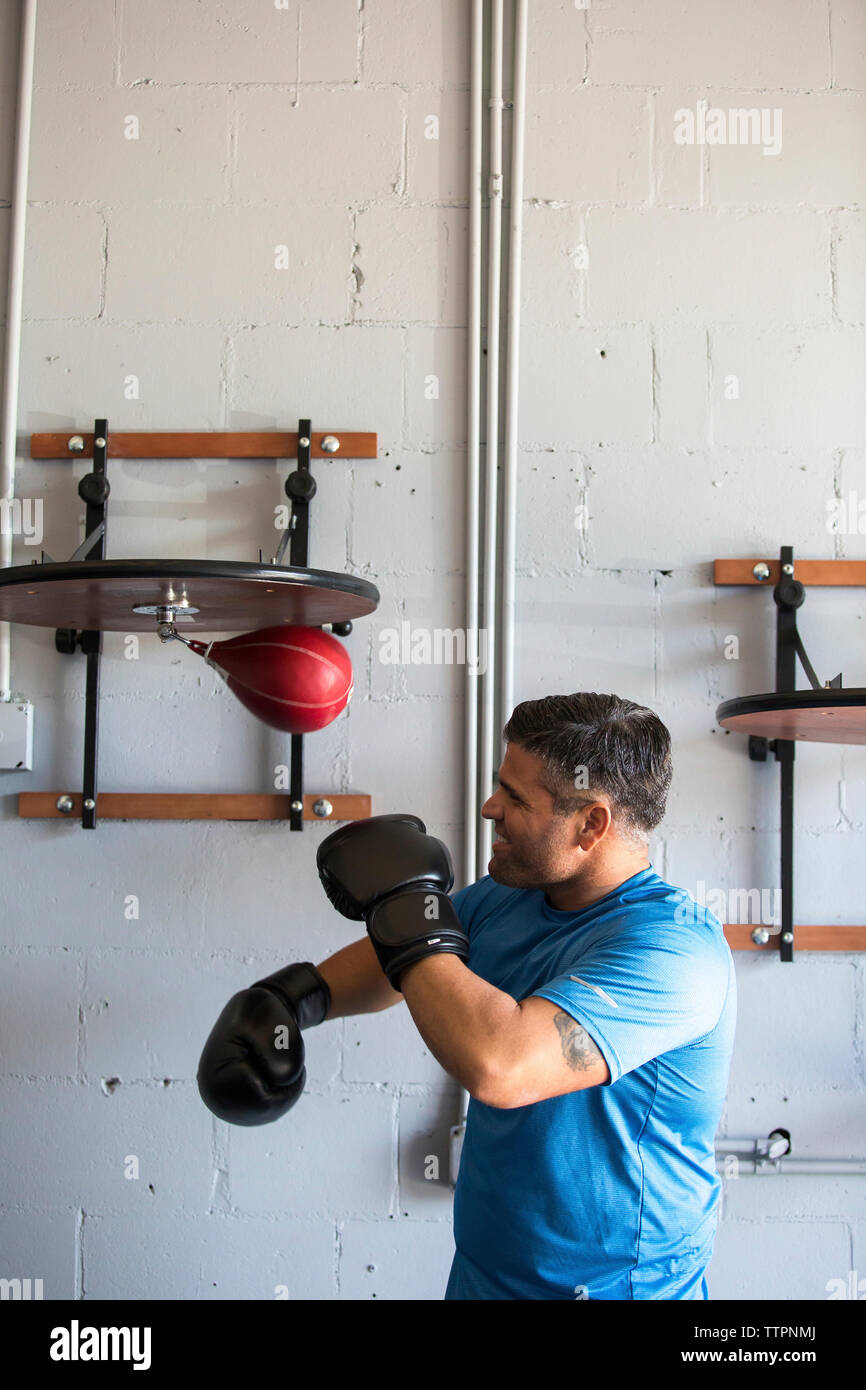 La punzonatura Boxer Speed bag da parete in palestra Foto Stock
