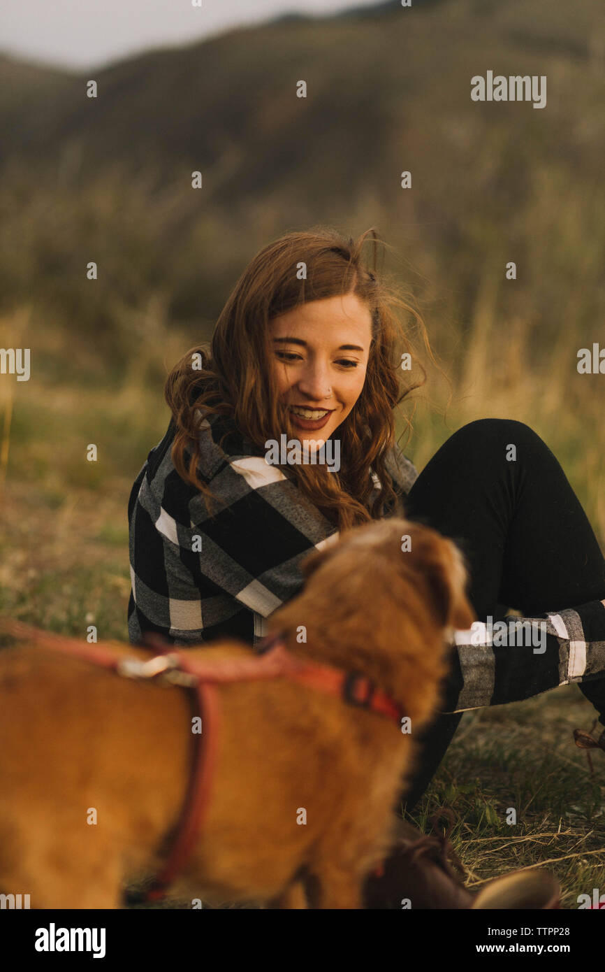 Sorridente giovane donna guardando il cane mentre è seduto sul campo Foto Stock