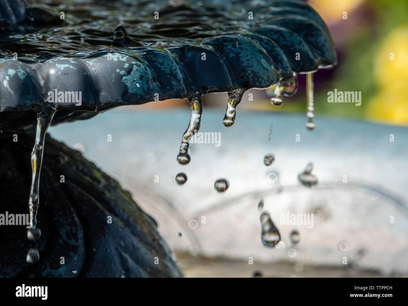 Gocciolatoio, drip Foto Stock