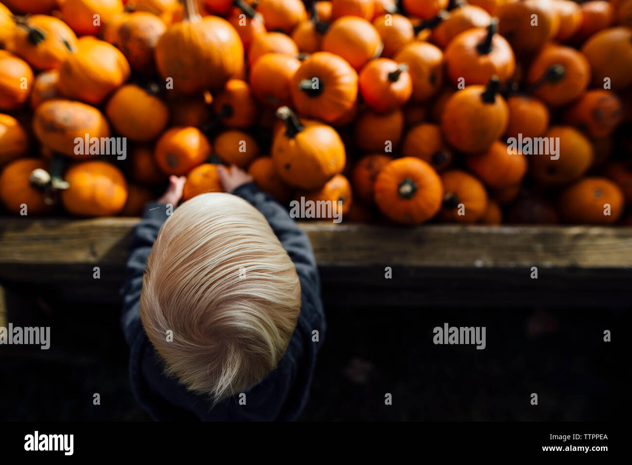 Angolo di Alta Vista del ragazzo tenendo zucche Foto Stock