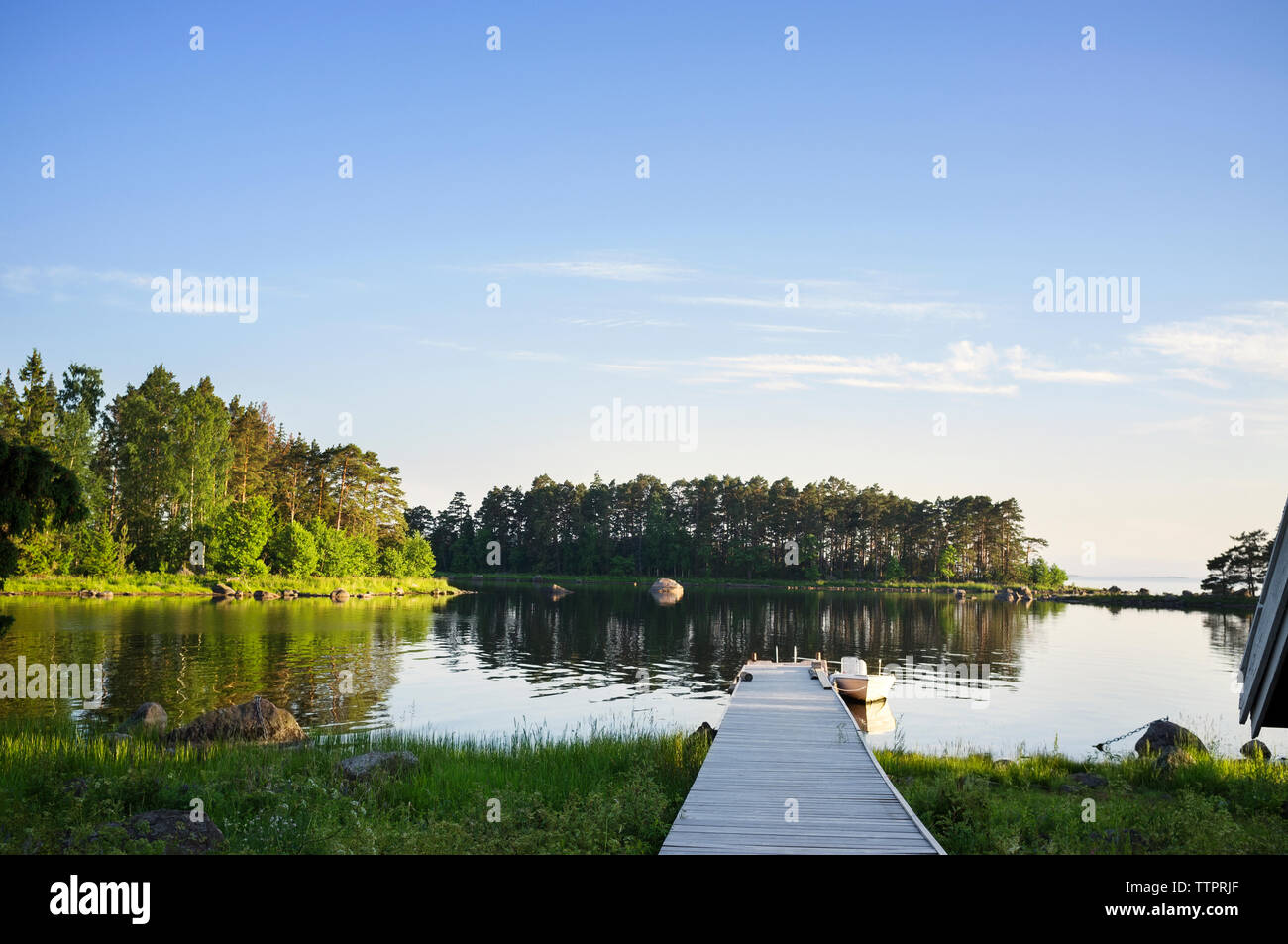 Alberi che crescono dal lago contro sky Foto Stock