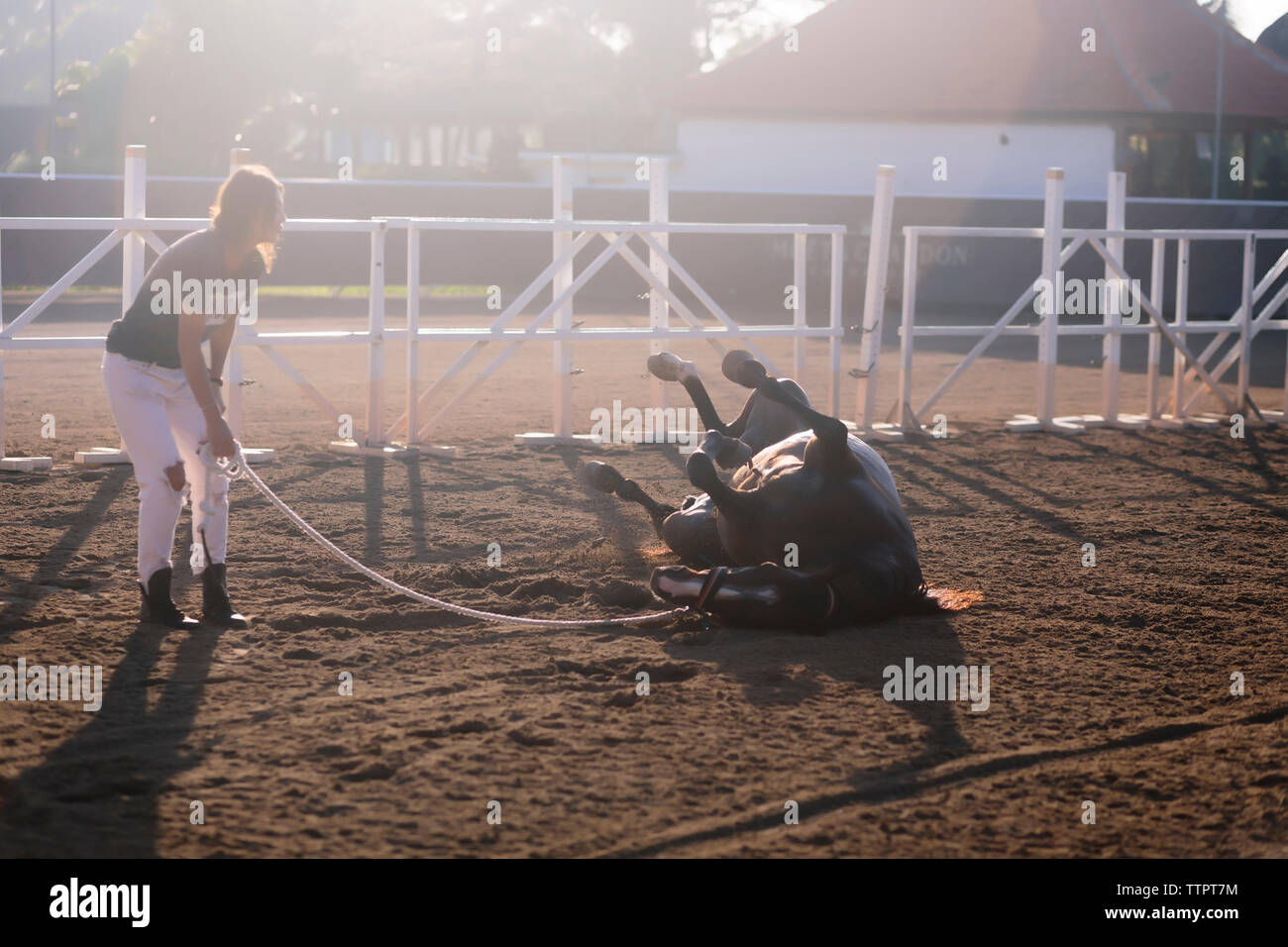 Per tutta la lunghezza della formazione della donna cavallo al ranch Foto Stock