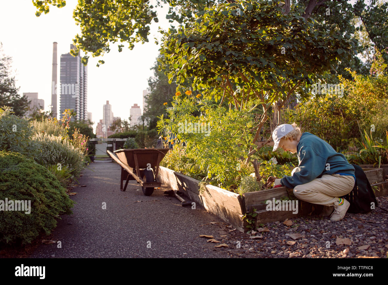 Vista laterale del senior donna che lavorano a livello comunitario giardino Foto Stock