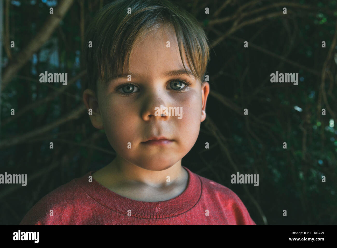 Close-up verticale di boy contro alberi in cortile Foto Stock