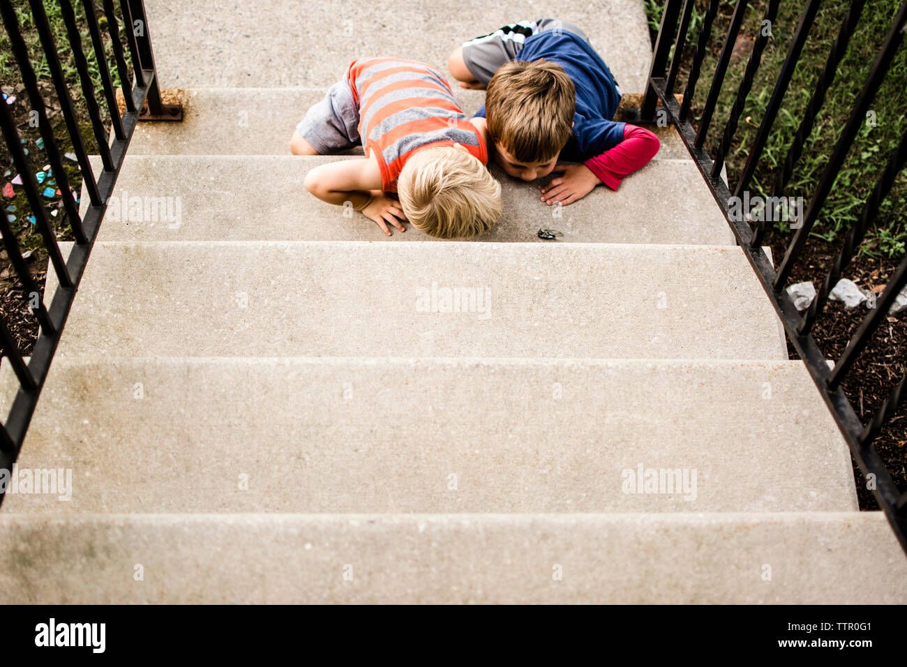 Angolo di alta vista di curiosi fratelli guardando gli insetti mentre è seduto sui gradini Foto Stock