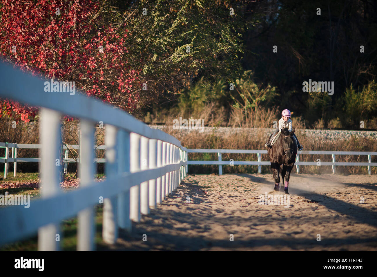 Ragazza di equitazione nel ranch Foto Stock