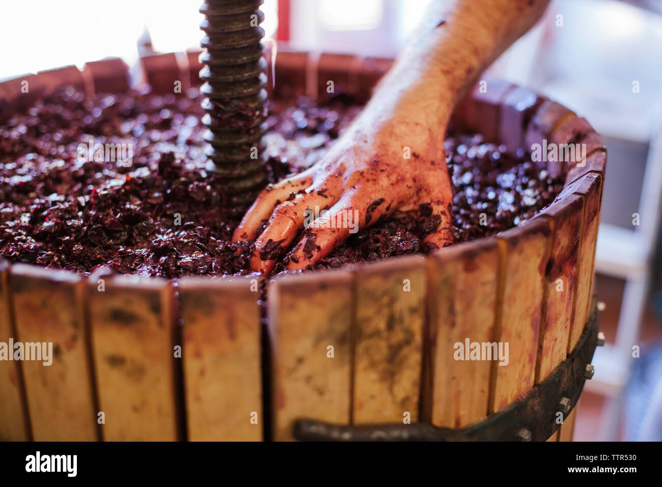 Tagliato a mano maschio del vignaiolo fare il vino in botte in fabbrica Foto Stock