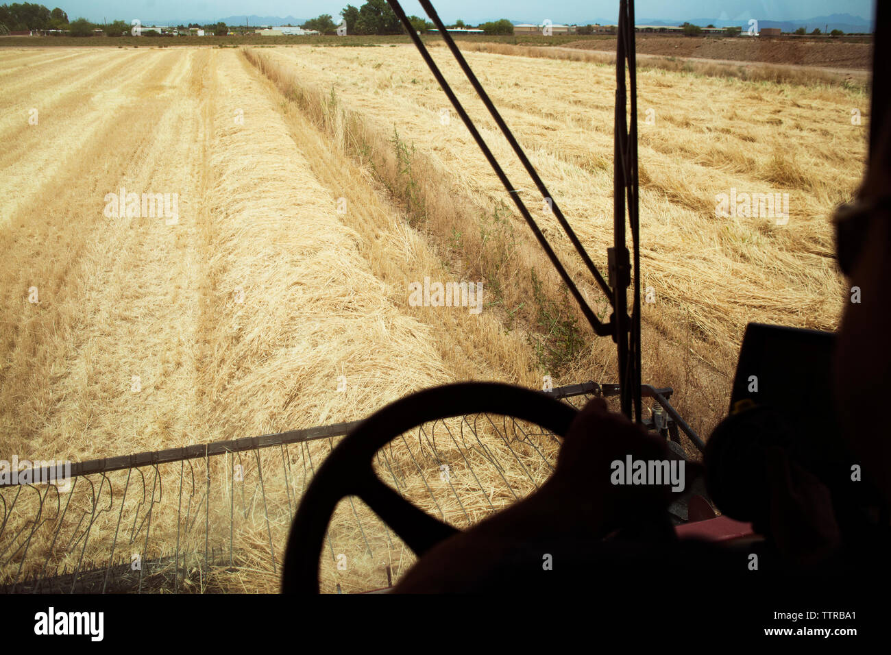 Immagine ritagliata di agricoltore la guida della mietitrebbia su campo di grano Foto Stock