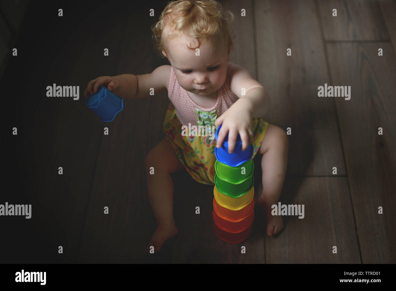 Angolo di Alta Vista del simpatico baby girl impilamento dei giocattoli colorati mentre è seduto sul pavimento di legno a casa Foto Stock