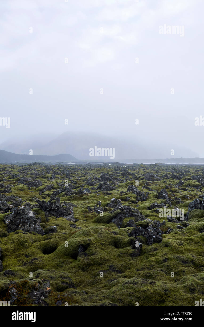 Vista panoramica della pianura di lava contro il cielo nuvoloso Foto Stock