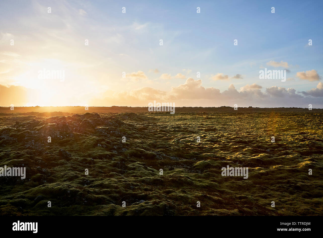 Vista panoramica della pianura di lava contro sky durante il tramonto Foto Stock