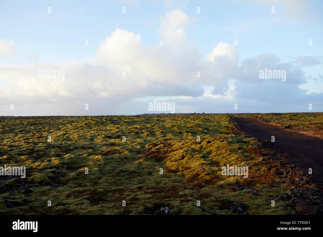 Vista panoramica del campo di lava contro sky Foto Stock