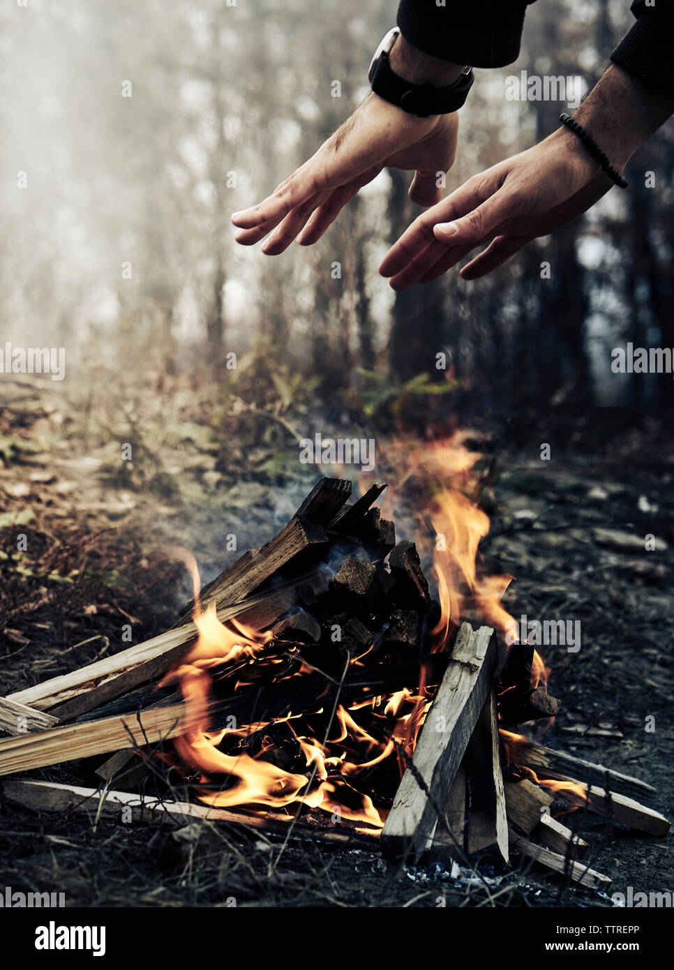 Immagine ritagliata di riscaldamento man mano sopra il fuoco nella foresta durante il periodo invernale Foto Stock