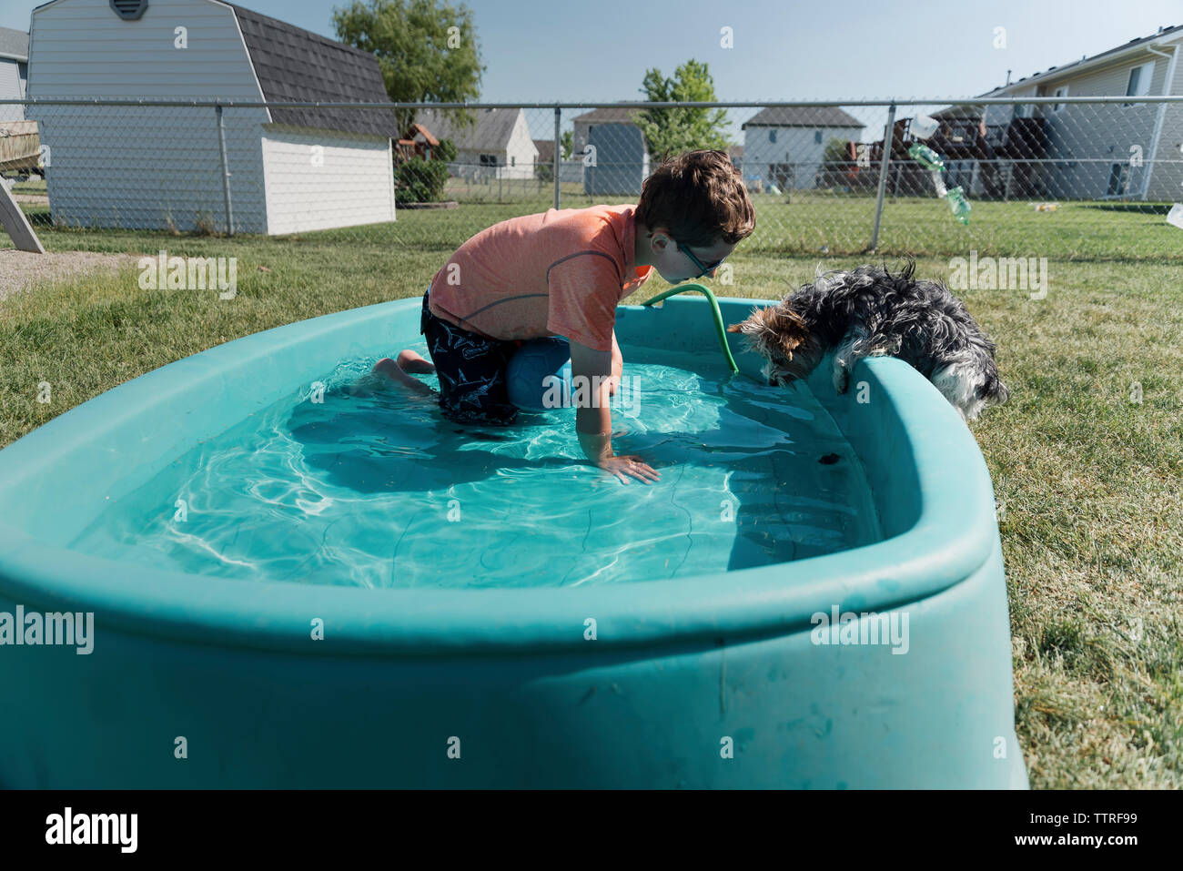 Giocoso ragazzo con Yorkshire Terrier in piscina per bambini durante il giorno di sole in cortile Foto Stock
