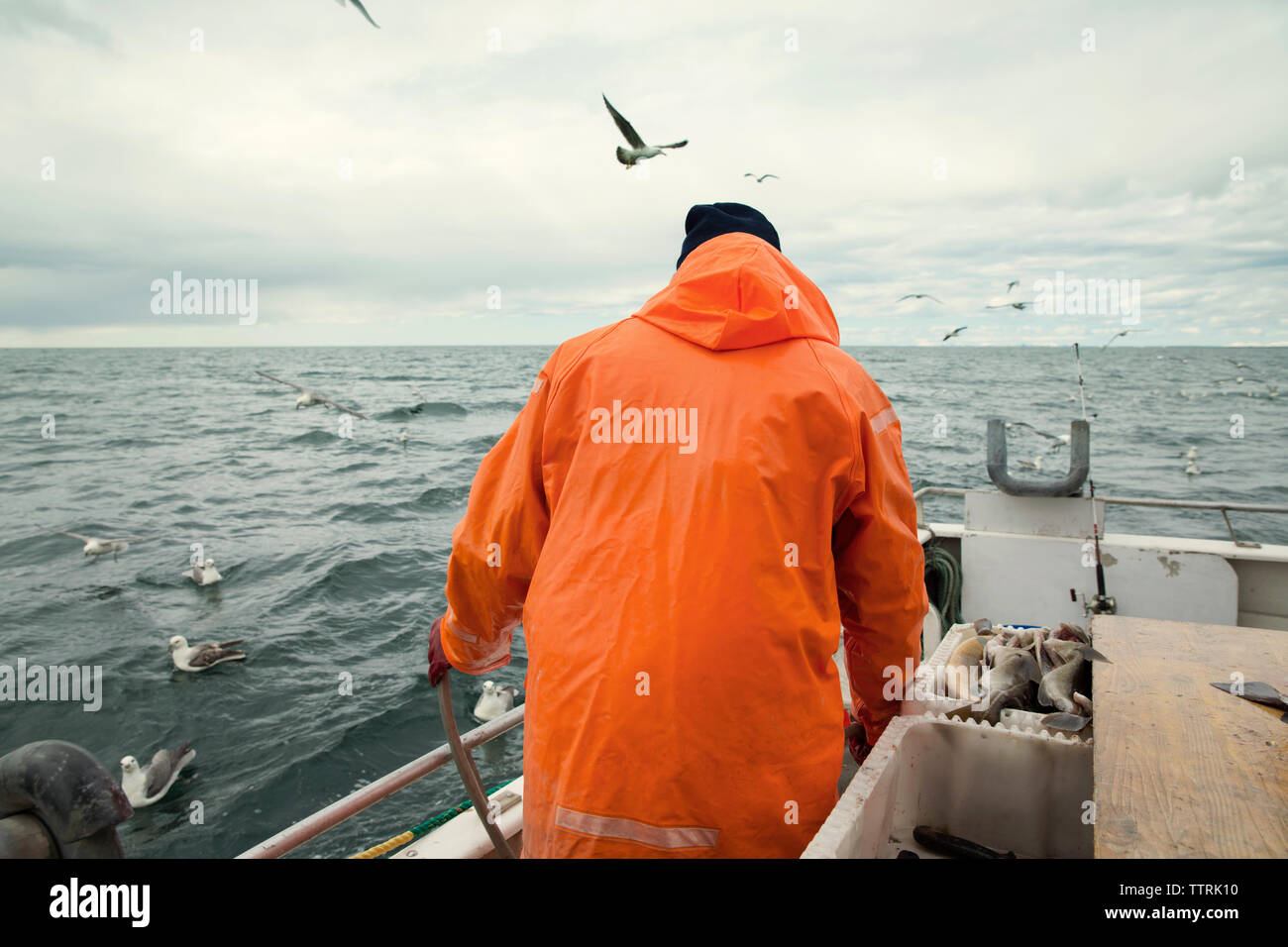 Vista posteriore del pescatore permanente sulla barca da pesca in mare contro il cielo nuvoloso Foto Stock