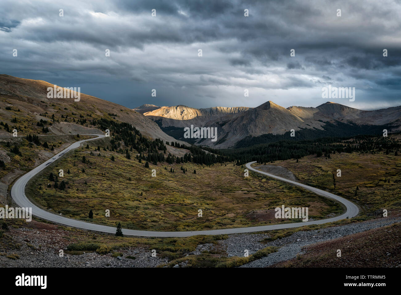 Vista panoramica di pioppi neri americani passano contro cloudscape Foto Stock