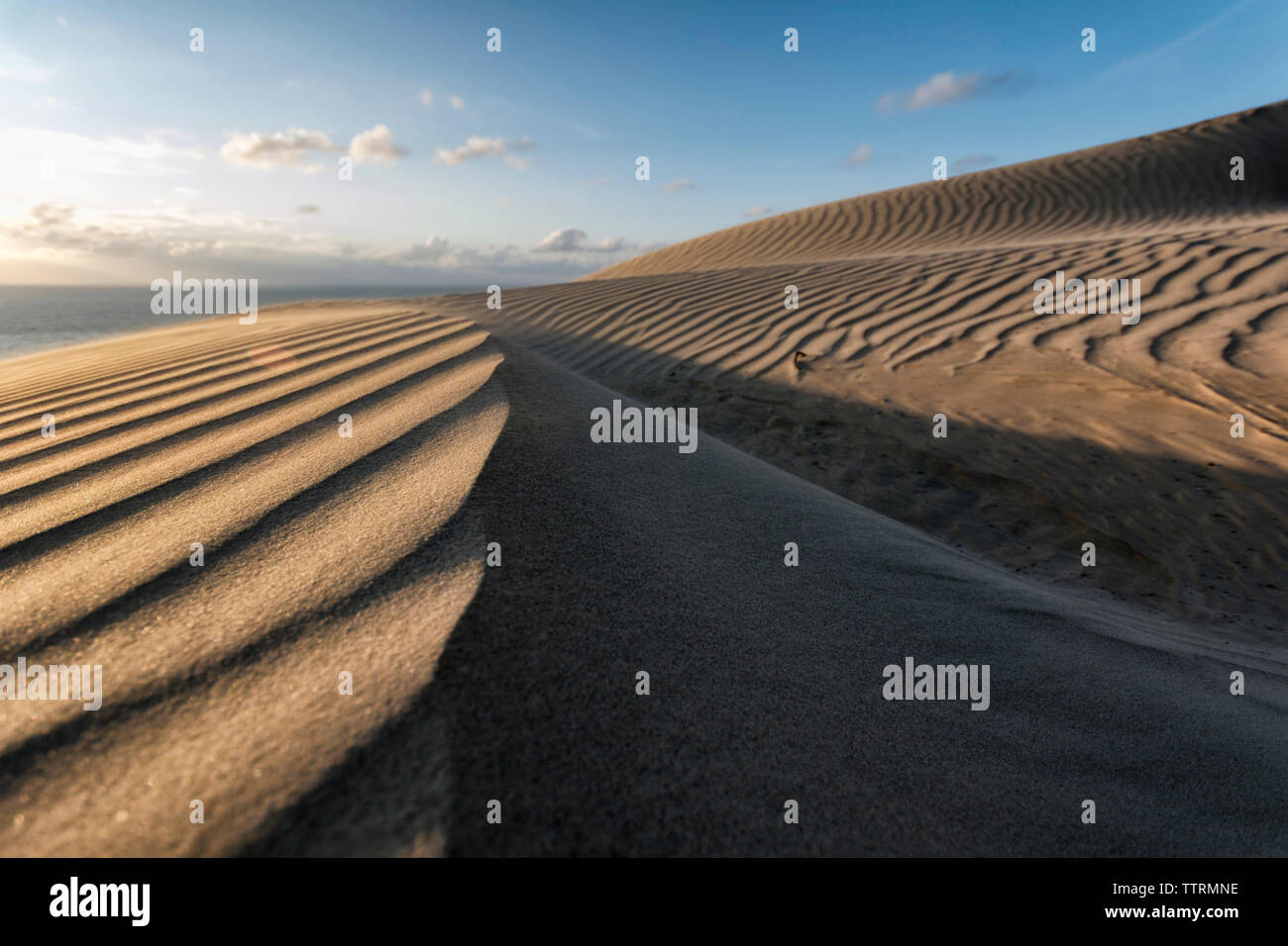 Vista panoramica del deserto contro sky Foto Stock