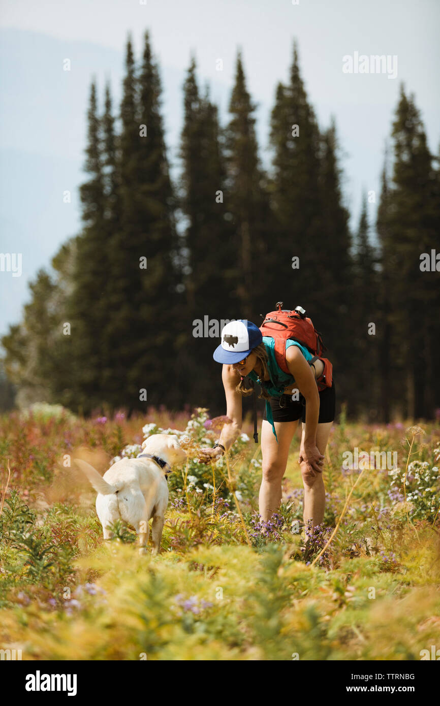 Donna zaino porta petting cane mentre si sta in piedi sul campo Foto Stock