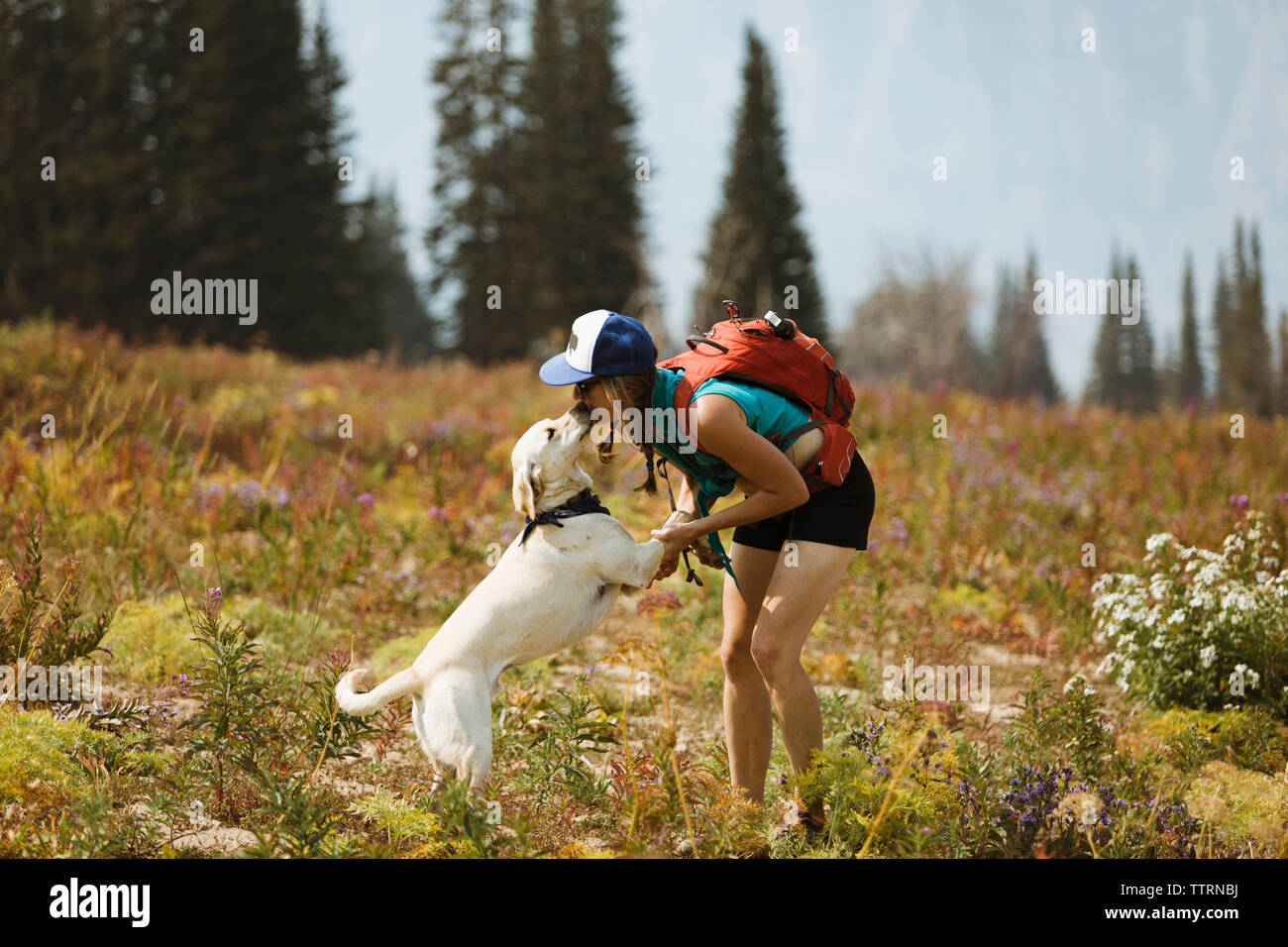 Donna con zaino baciare cane mentre si sta in piedi sul campo Foto Stock