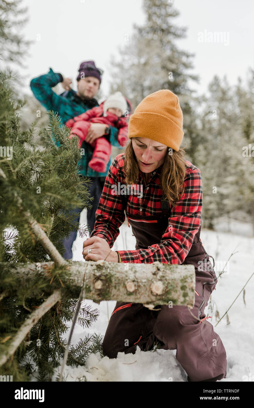 Padre che porta la figlia mentre la moglie il taglio di pino nel bosco durante la stagione invernale Foto Stock