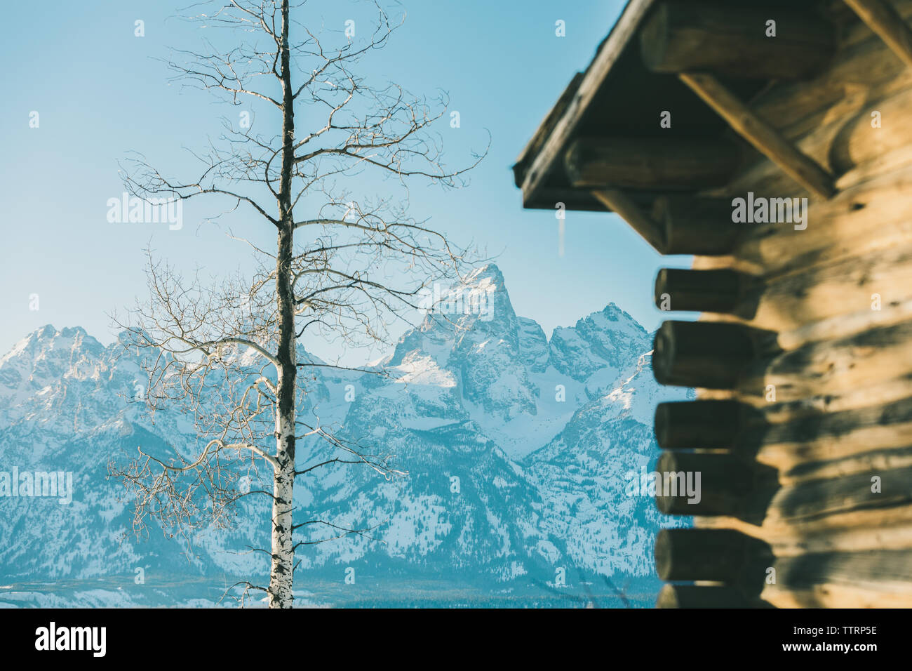 Angolo di un vecchio log cabin al di fuori della messa a fuoco con sfondo di montagne Foto Stock