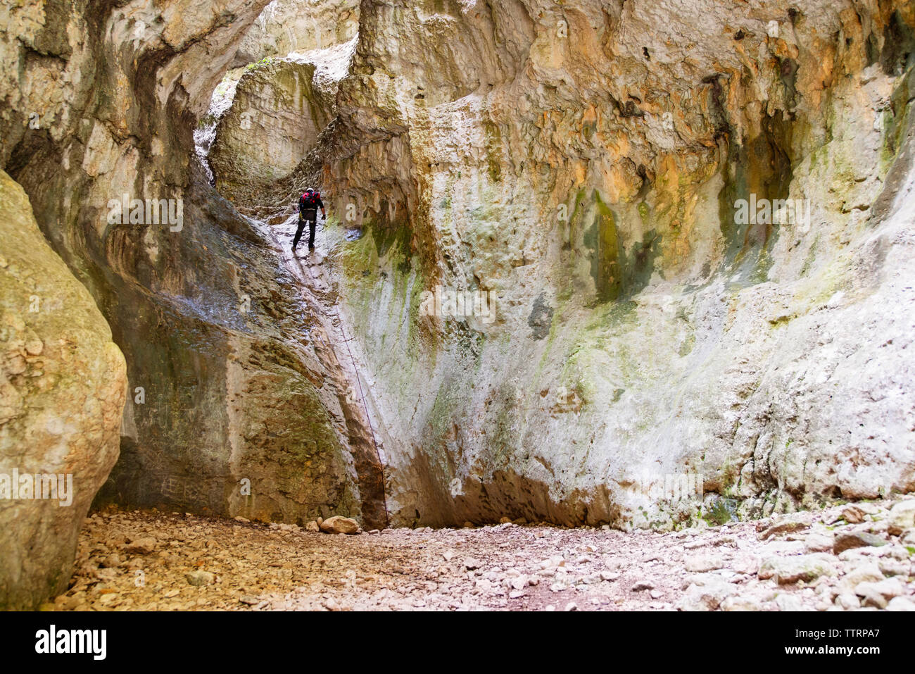 Vista posteriore dello scalatore passeggiate in montagna Foto Stock