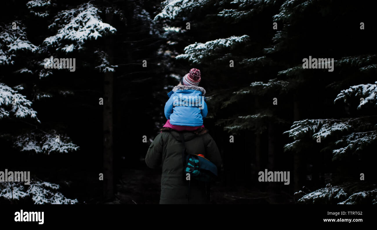 Vista posteriore del padre che porta la figlia sulle spalle mentre si cammina nel bosco durante la stagione invernale Foto Stock