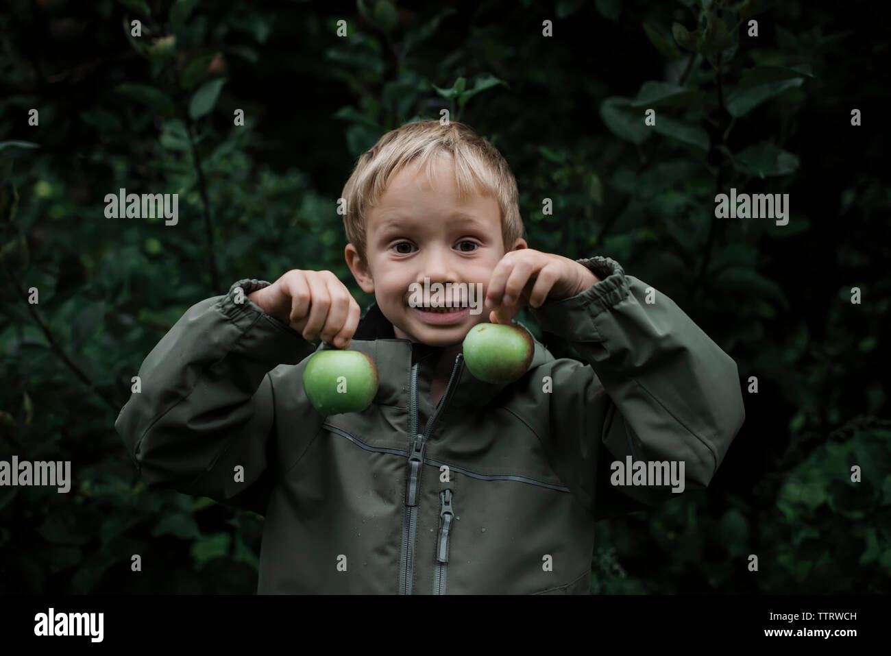 Ritratto di carino ragazzo sorridente holding mele fresche in Orchard Foto Stock