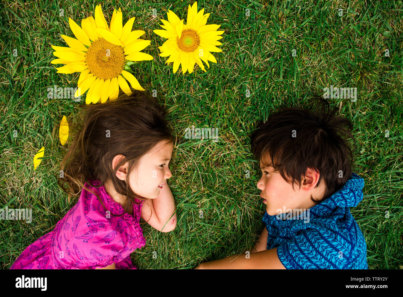 Angolo di alta vista dei fratelli guardando ogni altro mentre giaceva sul campo erboso Foto Stock