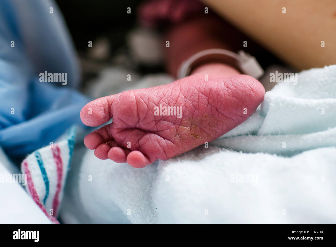 Il piede di un neonato che stabilisce in un ospedale con visibile tag id Foto Stock