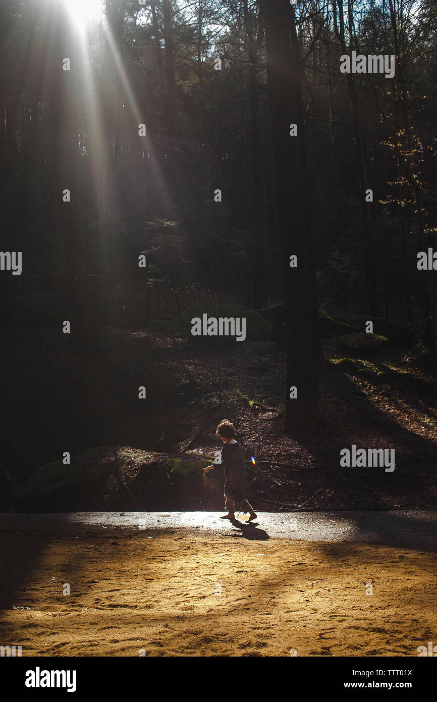 Un bambino piccolo si erge a piedi nudi nel bosco immerso in un fascio di luce Foto Stock