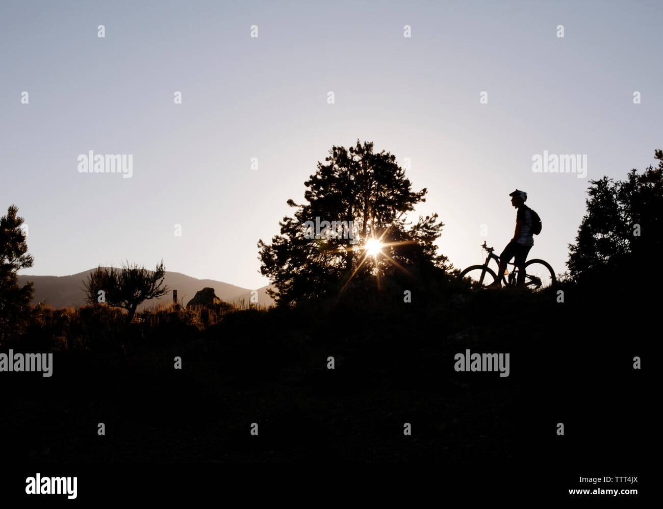 Silhouette uomo con bicicletta sul campo contro il cielo chiaro durante il tramonto Foto Stock