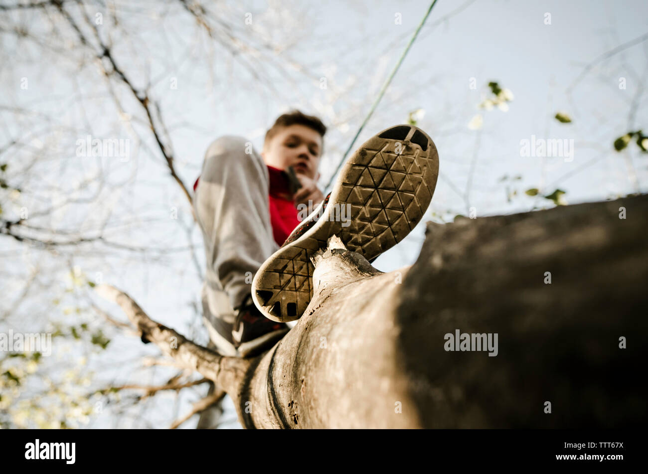 Basso angolo vista del ragazzo in piedi sul tronco di albero Foto Stock