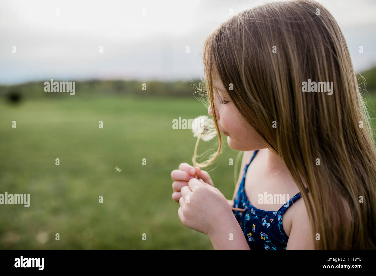 Vista laterale della ragazza con fiore di tarassaco sul campo erboso Foto Stock