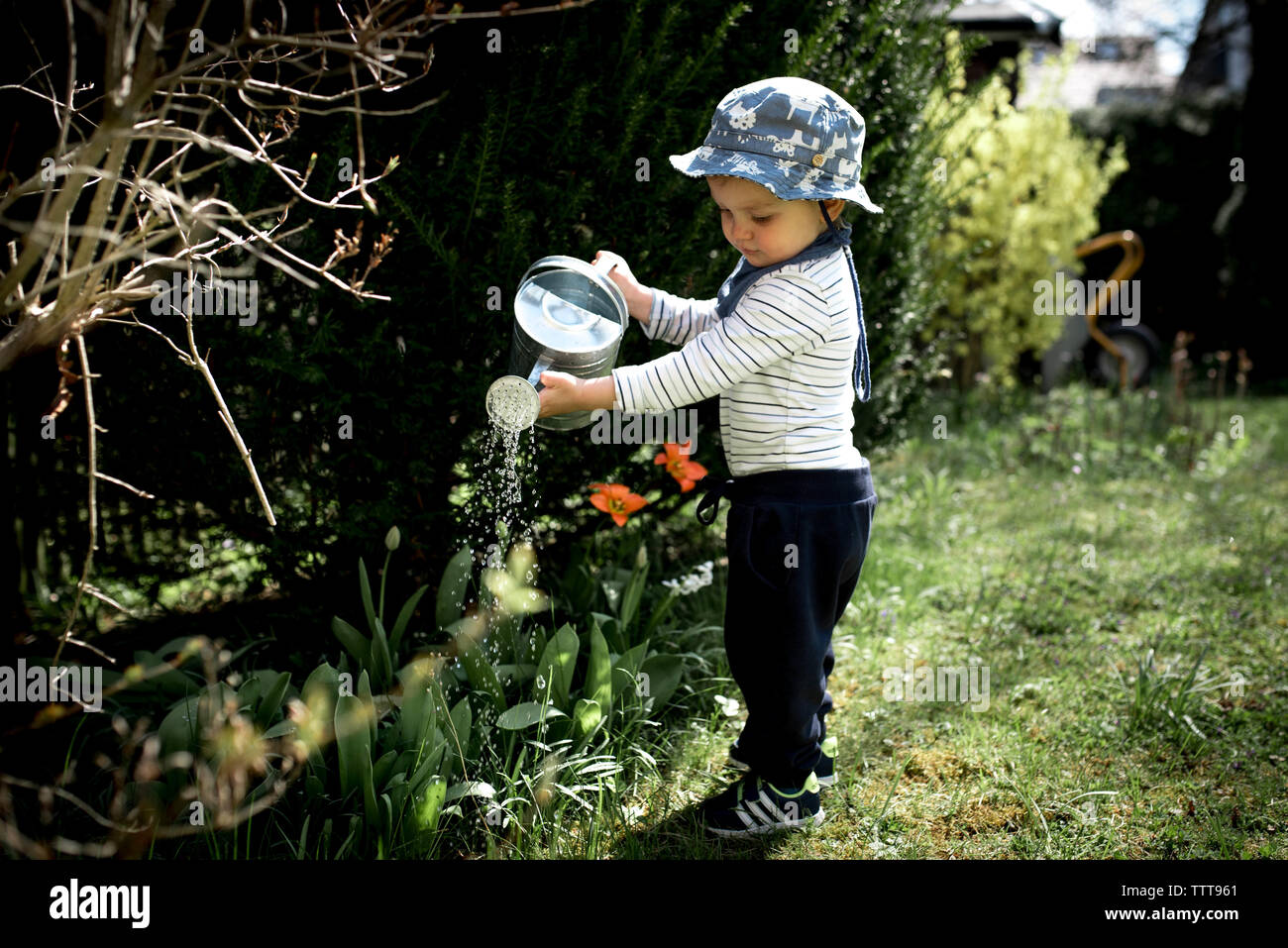 Little Boy impianti di irrigazione del giardino in primavera in una giornata di sole Foto Stock