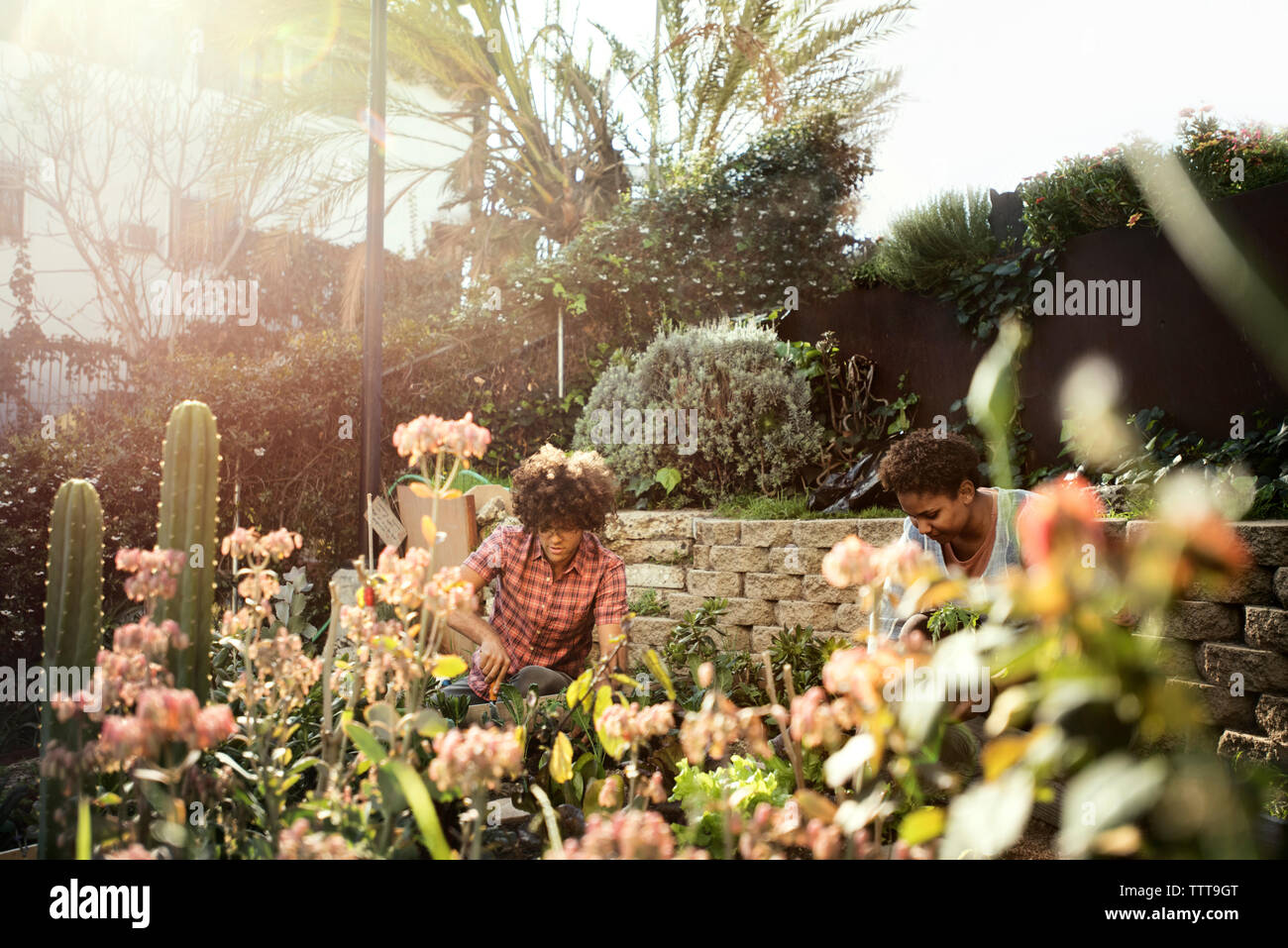 Multi-etnico giardinaggio amici a comunità giardino sulla giornata di sole Foto Stock