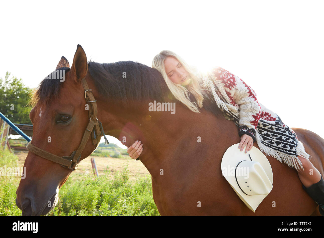 Basso angolo di visione della donna che dorme sul cavallo in fattoria Foto Stock