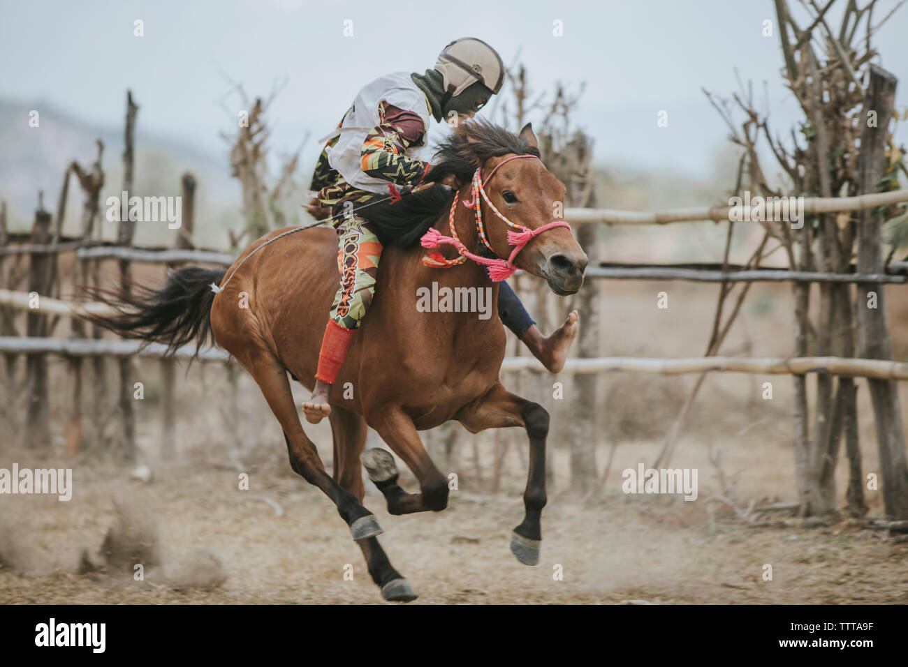 Jockey delle corse ippiche di equitazione durante le corse di cavalli Foto Stock